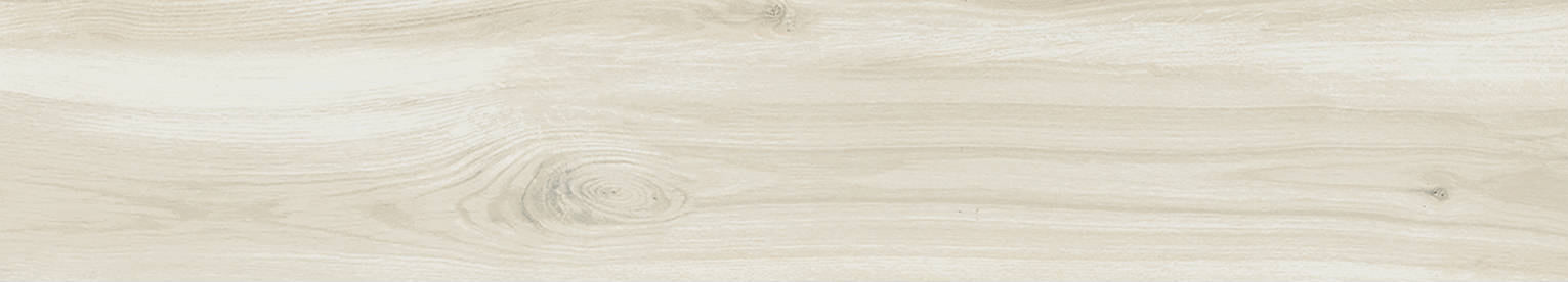 Saranac White 6X36 | Roma Tile NY