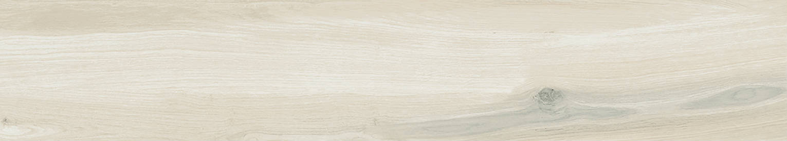 Saranac White 6X36 | Roma Tile NY