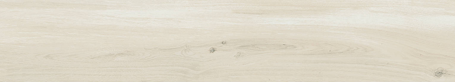 Saranac White 6X36 | Roma Tile NY